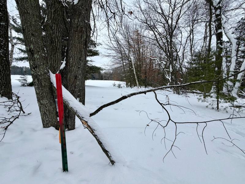 3633 Kuczmarski Dr, Stella, Rhinelander,  WI 54501 United States