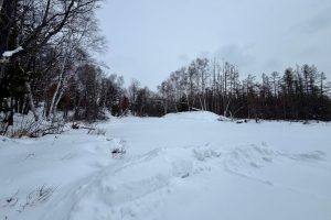 3633 Kuczmarski Dr, Stella, Rhinelander,  WI 54501 United States