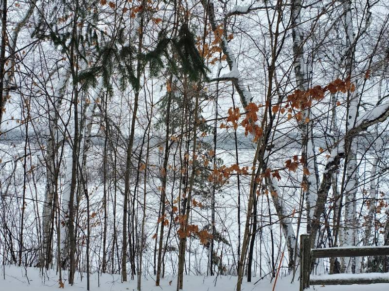 9/W767 Deer Crossing Ln, , Park Falls,  WI 54552