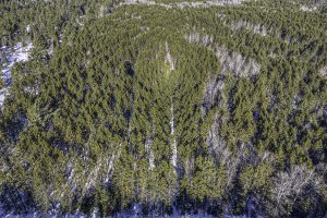 3 Off Deerskin Rd, , Eagle River,  WI 54521 United States