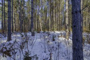 3 Off Deerskin Rd, , Eagle River,  WI 54521 United States