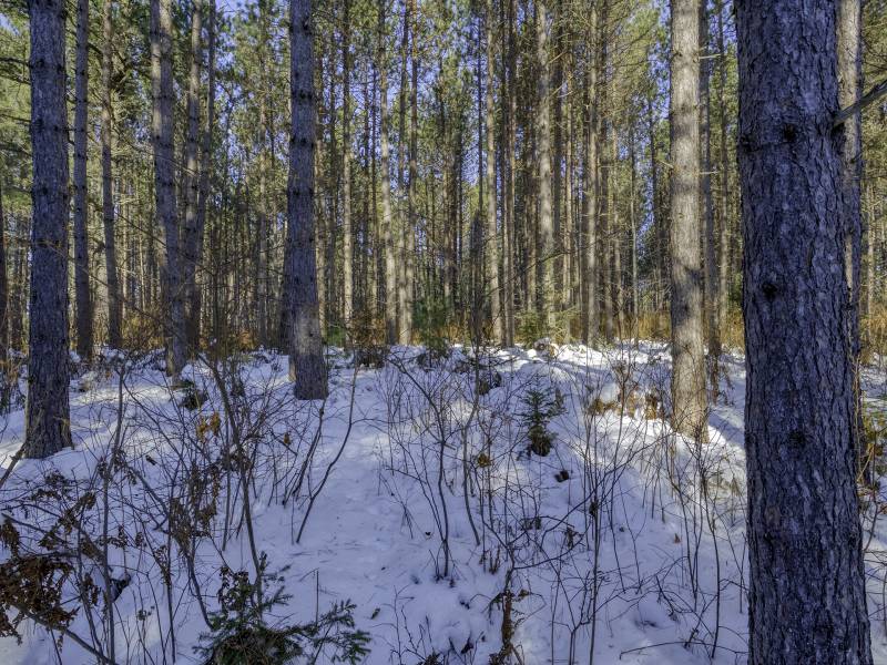 3 Off Deerskin Rd, , Eagle River,  WI 54521 United States