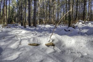 3 Off Deerskin Rd, , Eagle River,  WI 54521 United States