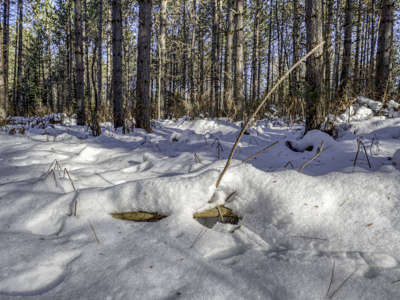 3 Off Deerskin Rd, , Eagle River,  WI 54521 United States