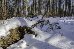 3 Off Deerskin Rd, , Eagle River,  WI 54521 United States