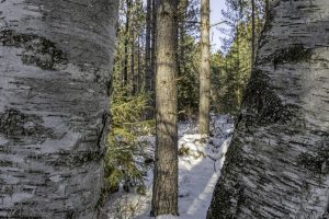 3 Off Deerskin Rd, , Eagle River,  WI 54521 United States