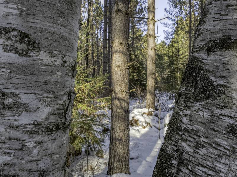 3 Off Deerskin Rd, , Eagle River,  WI 54521 United States