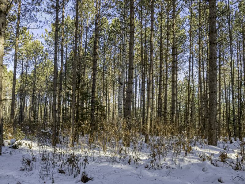 3 Off Deerskin Rd, , Eagle River,  WI 54521 United States