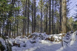 3 Off Deerskin Rd, , Eagle River,  WI 54521 United States