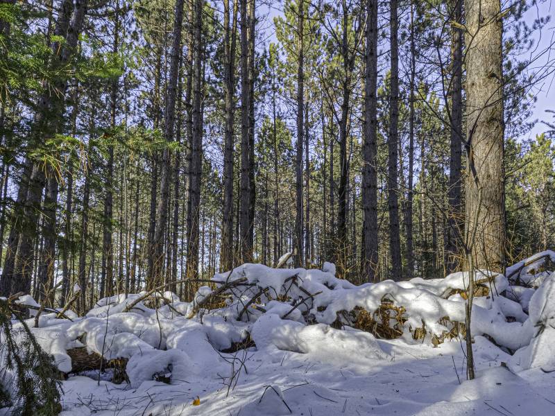 3 Off Deerskin Rd, , Eagle River,  WI 54521 United States