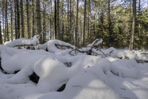 3 Off Deerskin Rd, , Eagle River,  WI 54521 United States