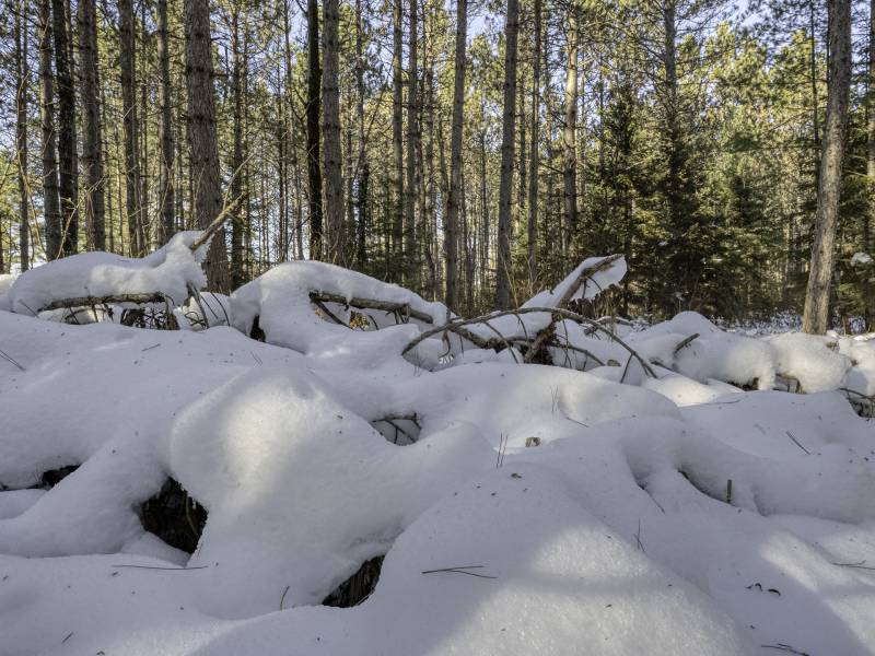 3 Off Deerskin Rd, , Eagle River,  WI 54521 United States