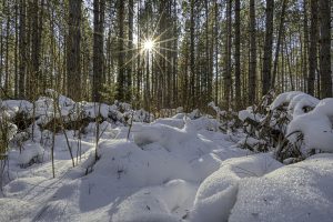 3 Off Deerskin Rd, , Eagle River,  WI 54521 United States