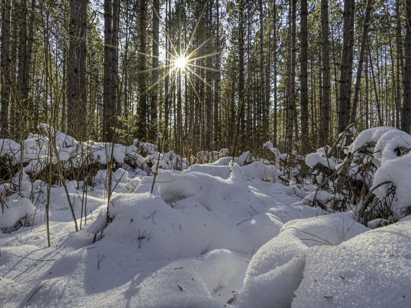 3 Off Deerskin Rd, , Eagle River,  WI 54521 United States