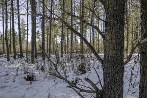 3 Off Deerskin Rd, , Eagle River,  WI 54521 United States