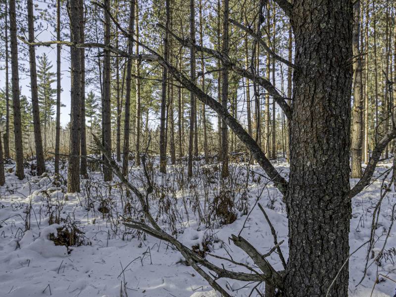 3 Off Deerskin Rd, , Eagle River,  WI 54521 United States