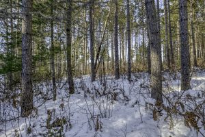 3 Off Deerskin Rd, , Eagle River,  WI 54521 United States