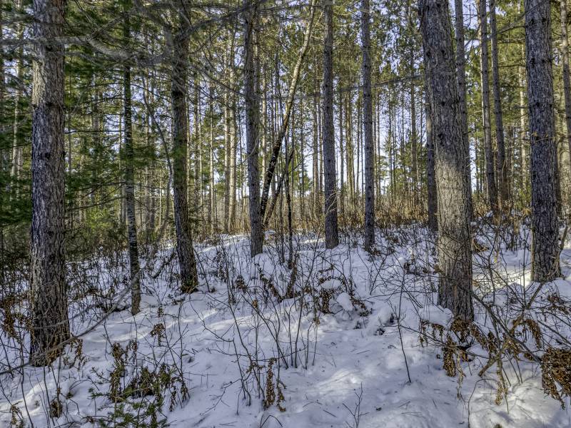 3 Off Deerskin Rd, , Eagle River,  WI 54521 United States