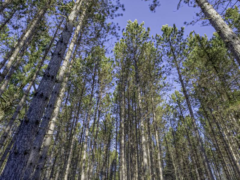 3 Off Deerskin Rd, , Eagle River,  WI 54521 United States