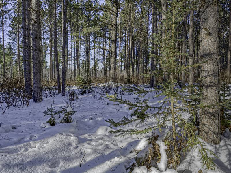 3 Off Deerskin Rd, , Eagle River,  WI 54521 United States