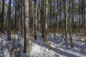 3 Off Deerskin Rd, , Eagle River,  WI 54521 United States