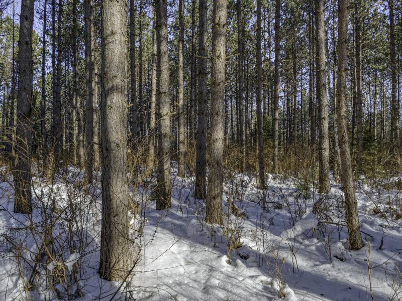 3 Off Deerskin Rd, , Eagle River,  WI 54521 United States