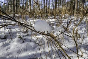 3 Off Deerskin Rd, , Eagle River,  WI 54521 United States