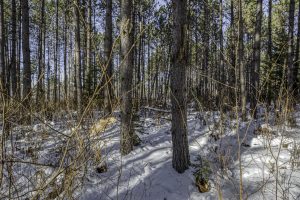 3 Off Deerskin Rd, , Eagle River,  WI 54521 United States