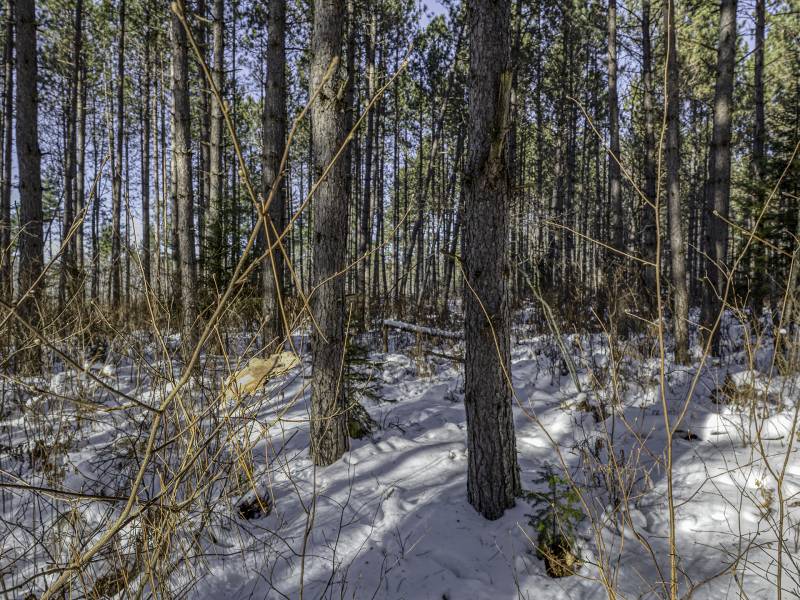 3 Off Deerskin Rd, , Eagle River,  WI 54521 United States