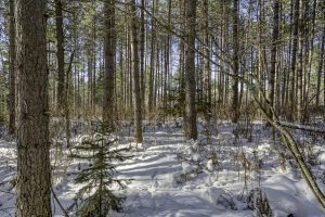 3 Off Deerskin Rd, , Eagle River,  WI 54521 United States