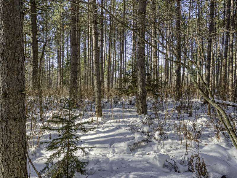 3 Off Deerskin Rd, , Eagle River,  WI 54521 United States