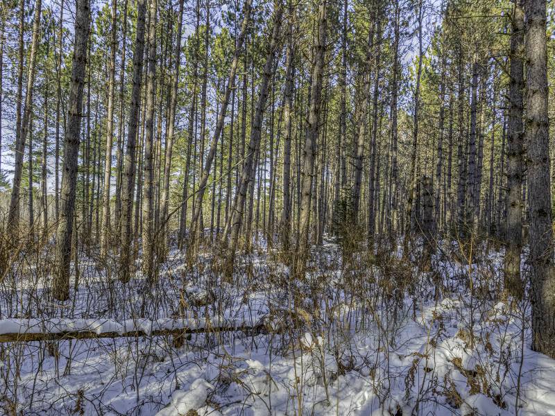 3 Off Deerskin Rd, , Eagle River,  WI 54521 United States