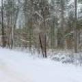 Lot 4 On Chickaree Lake Rd, , Eagle River,  WI 54521