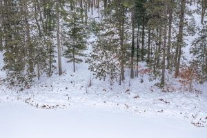 Lot 4 On Chickaree Lake Rd, , Eagle River,  WI 54521