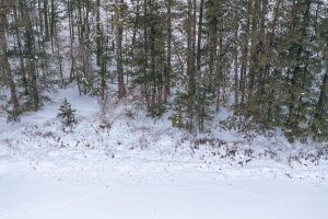 Lot 4 On Chickaree Lake Rd, , Eagle River,  WI 54521