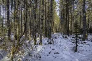 4 Off Deerskin Rd, , Eagle River,  WI 54521 United States