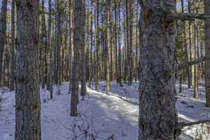 4 Off Deerskin Rd, , Eagle River,  WI 54521 United States