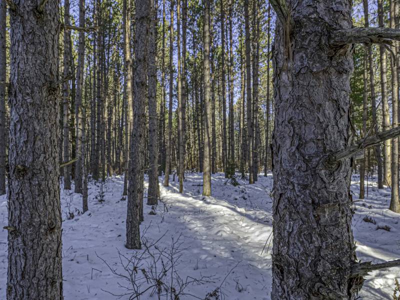 4 Off Deerskin Rd, , Eagle River,  WI 54521 United States