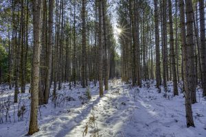 4 Off Deerskin Rd, , Eagle River,  WI 54521 United States