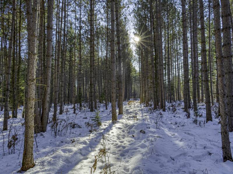 4 Off Deerskin Rd, , Eagle River,  WI 54521 United States