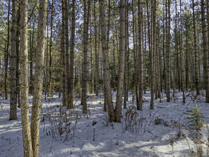 4 Off Deerskin Rd, , Eagle River,  WI 54521 United States