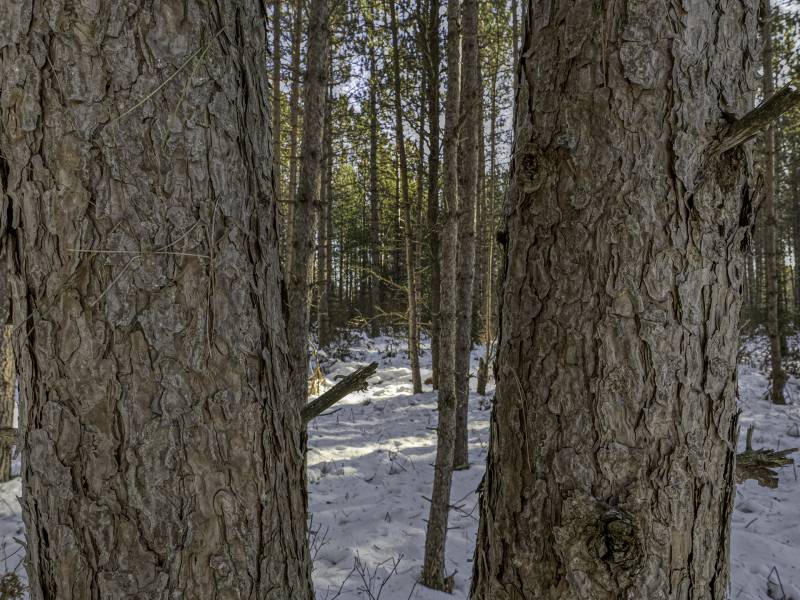 4 Off Deerskin Rd, , Eagle River,  WI 54521 United States