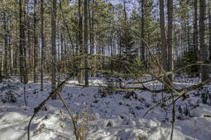 4 Off Deerskin Rd, , Eagle River,  WI 54521 United States