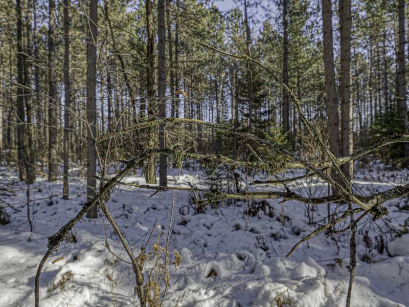 4 Off Deerskin Rd, , Eagle River,  WI 54521 United States