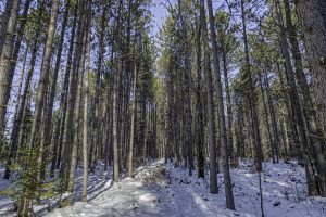 4 Off Deerskin Rd, , Eagle River,  WI 54521 United States