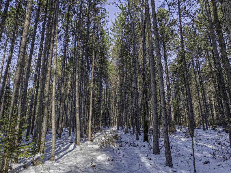 4 Off Deerskin Rd, , Eagle River,  WI 54521 United States