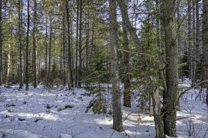 4 Off Deerskin Rd, , Eagle River,  WI 54521 United States