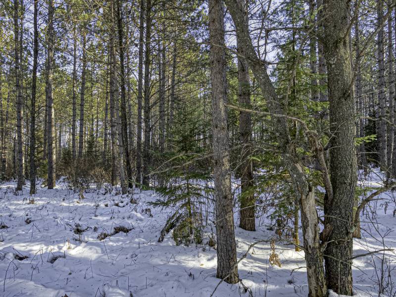 4 Off Deerskin Rd, , Eagle River,  WI 54521 United States