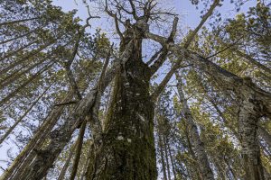 4 Off Deerskin Rd, , Eagle River,  WI 54521 United States