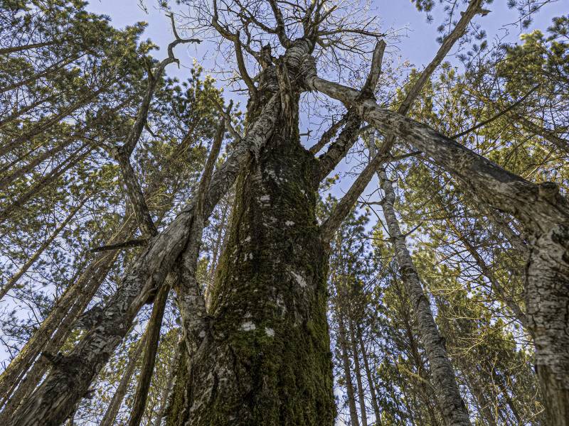 4 Off Deerskin Rd, , Eagle River,  WI 54521 United States